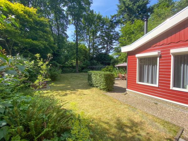 Tuin [zomer]