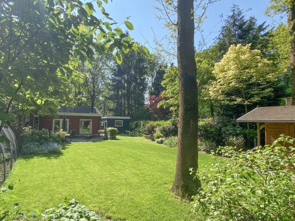 Tuin [zomer]