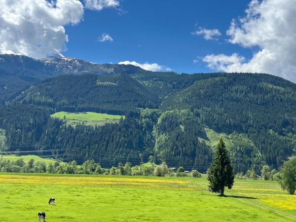 View from Holiday Home [summer]
