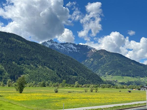View from Holiday Home [summer]
