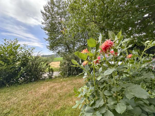 Aussicht vom Ferienhaus [Sommer]