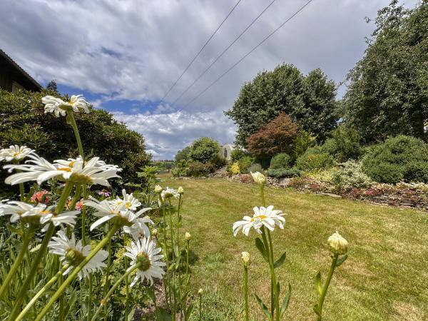 Garten [Sommer]