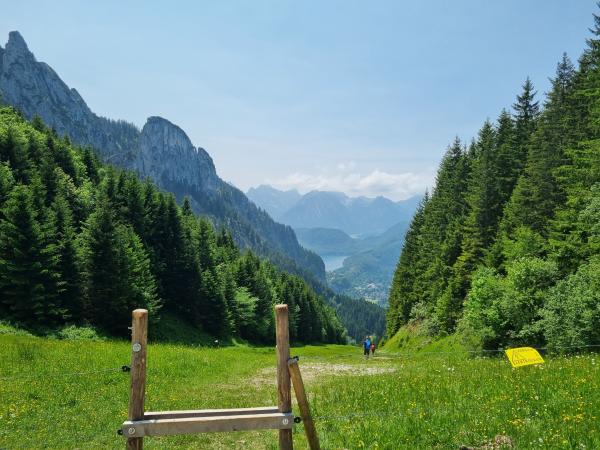 Surroundings [summer] (1-5 km)