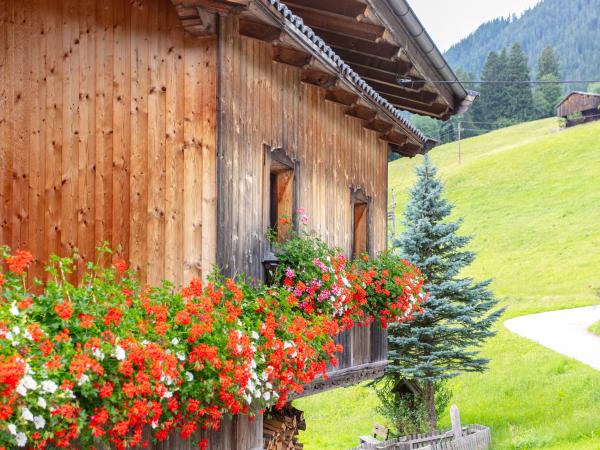 Extérieur maison de vacances [été]