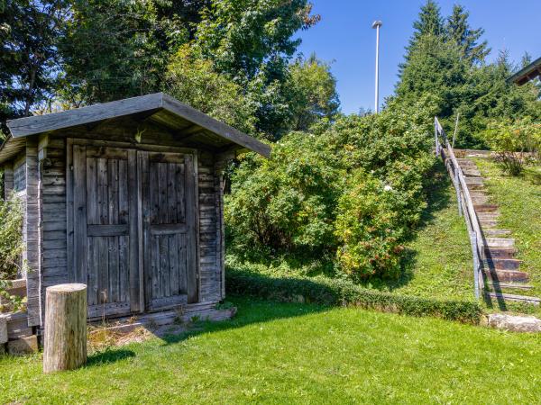Tuin [zomer]