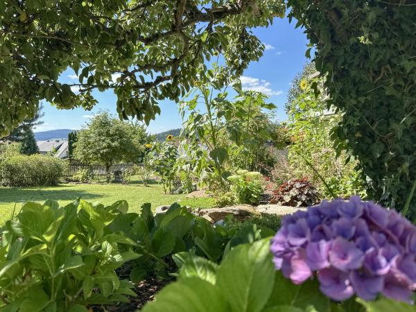 Tuin [zomer]