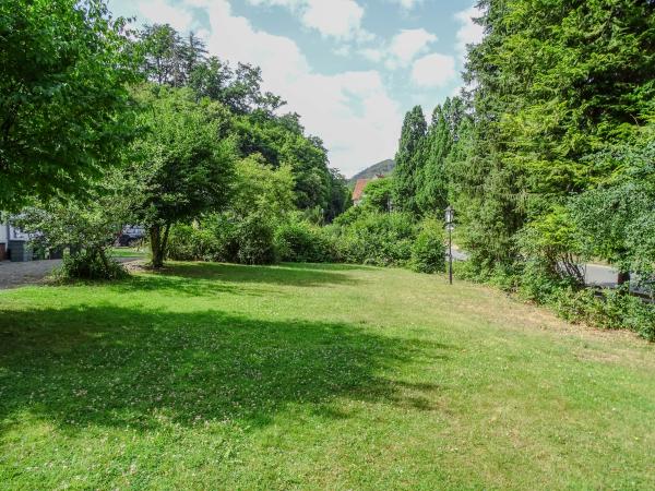 Jardin [été]