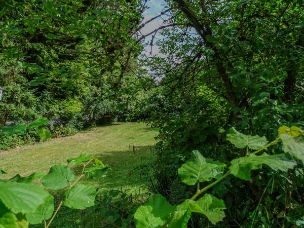 Jardin [été]