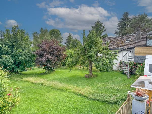 Tuin [zomer]