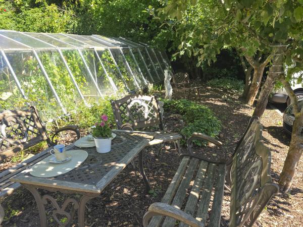 Garten [Sommer]