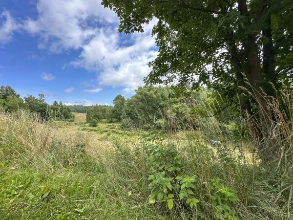 Directe omgeving [zomer] (<1 km)