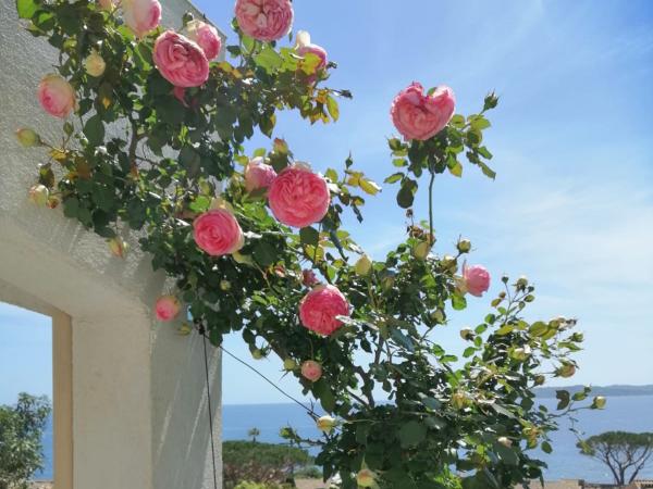 Ambiance / Close-up