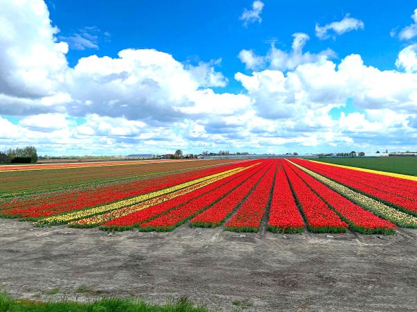 Surroundings [summer] (1-5 km)