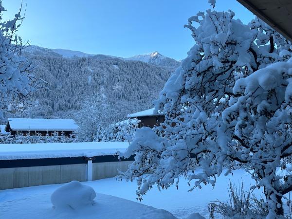 Jardin [hiver]