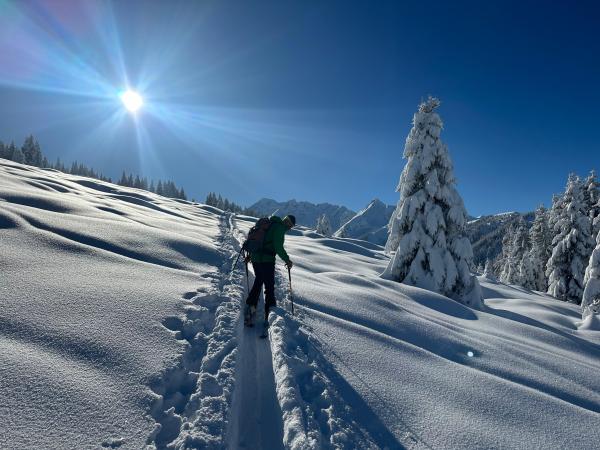 Dans les environs [hiver] (1-5 km)