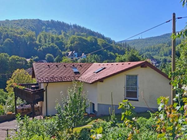 Immediate Surroundings [summer] (<1 km)