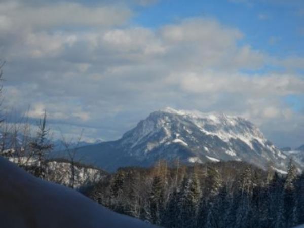 Immediate Surroundings [winter] (<1 km)