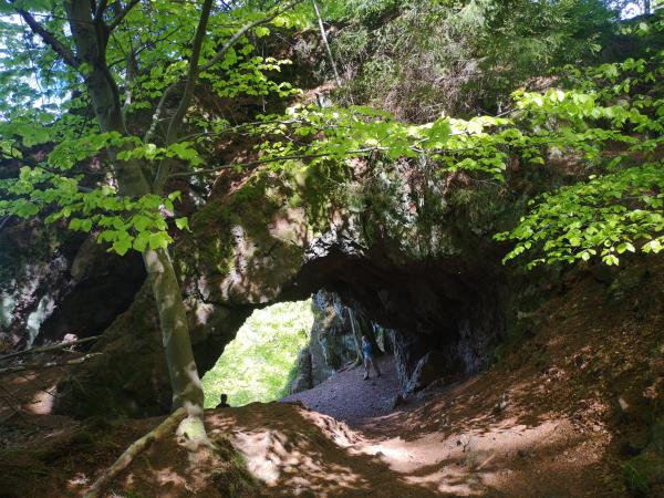 Surroundings [summer] (1-5 km)