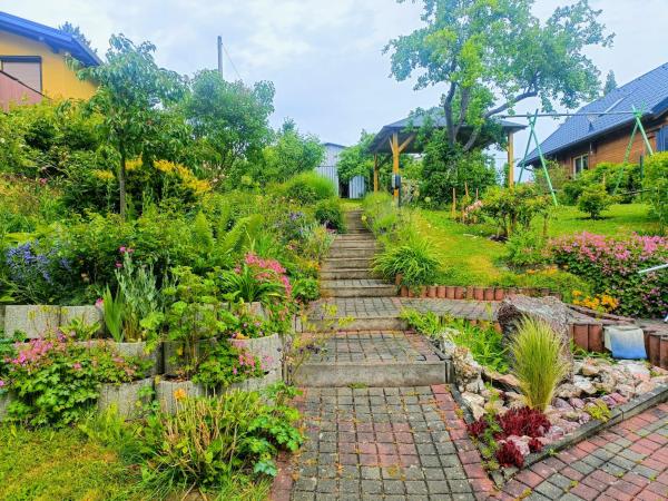 Garden [summer]