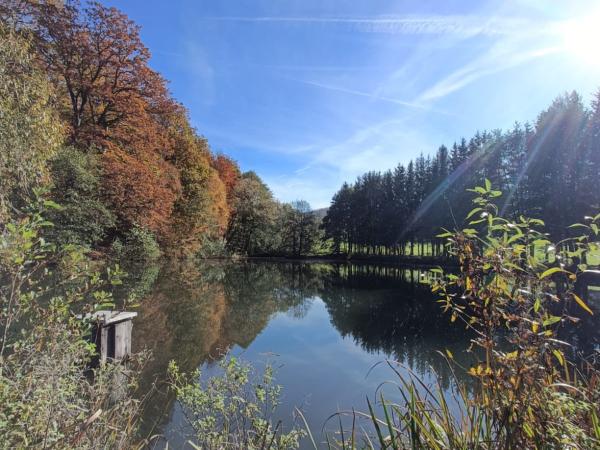 Surroundings [summer] (1-5 km)