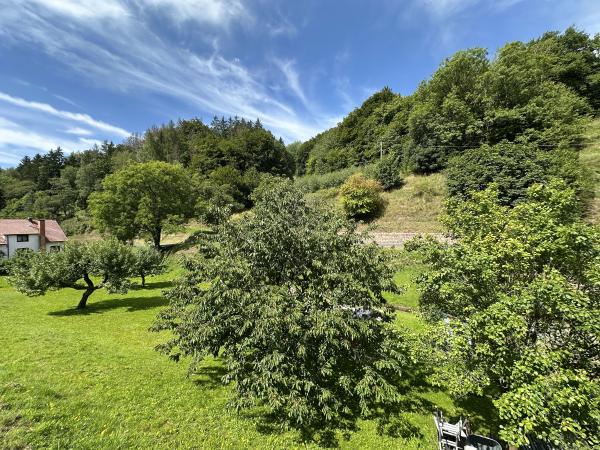Jardin [été]