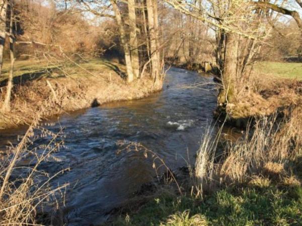 Direkte Umgebung [Sommer] (<1 km)