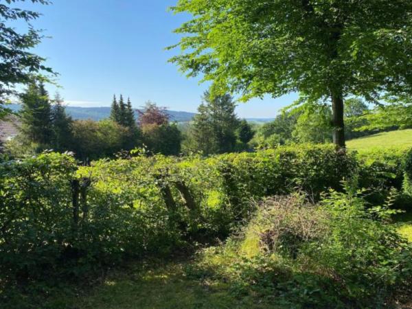 Aussicht vom Ferienhaus [Sommer]