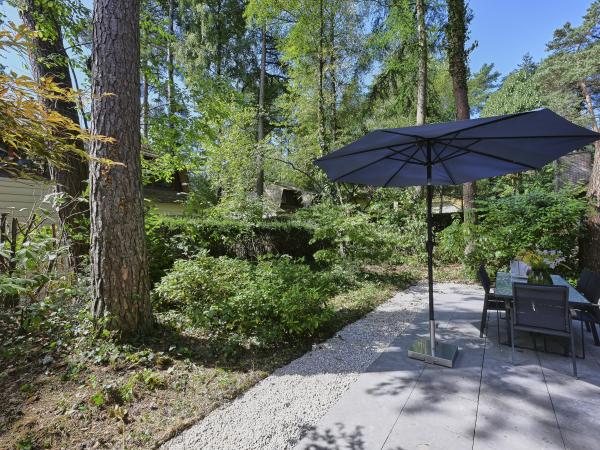 Tuin [zomer]