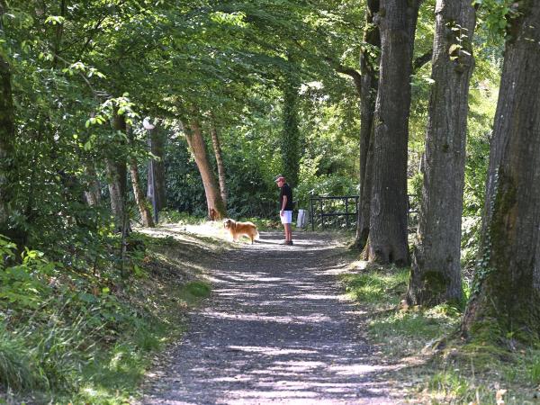 Omgeving [zomer] (1-5 km)