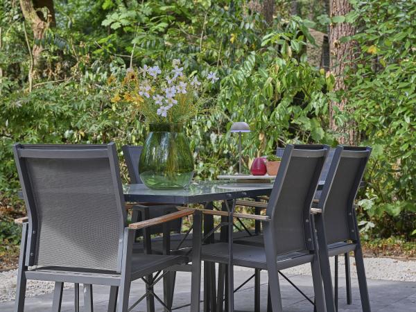 Tuin [zomer]