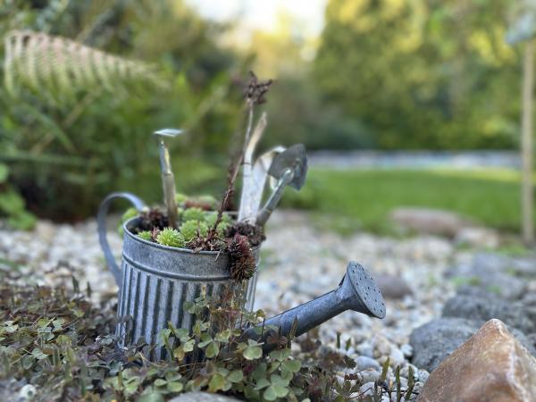 Garten [Sommer]