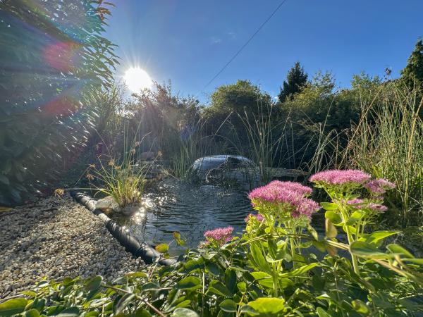 Garten [Sommer]