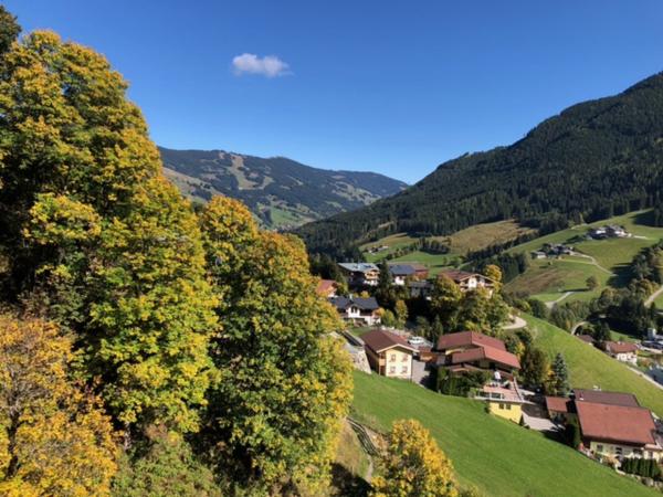 View from Holiday Home [summer]