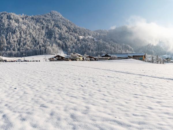 Außenseite Ferienhaus [Winter]