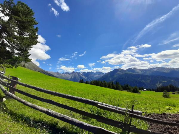 Directe omgeving [zomer] (<1 km)