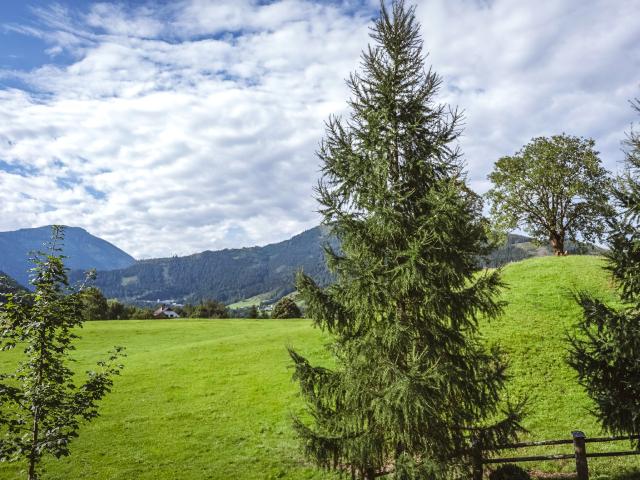 View from Holiday Home