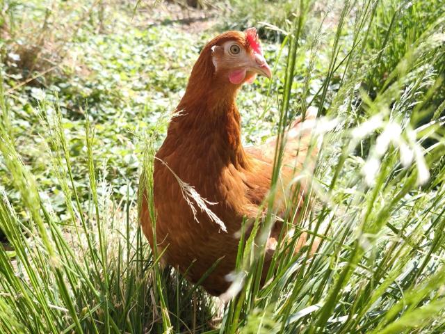 Equipement et services maison de vacances