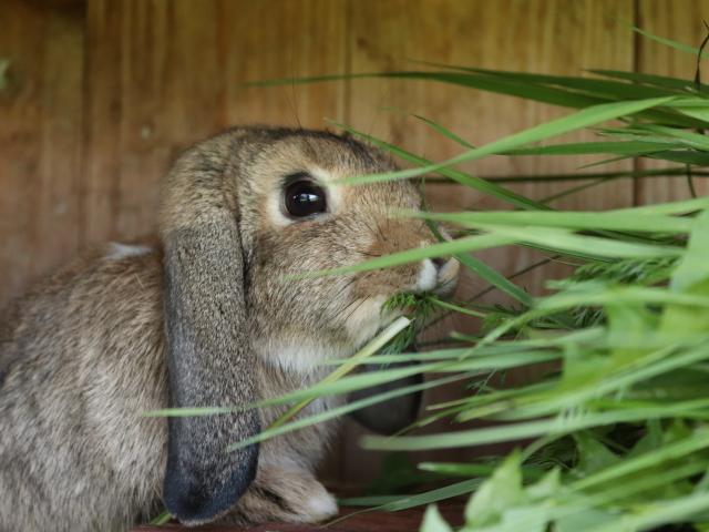 Equipement et services maison de vacances