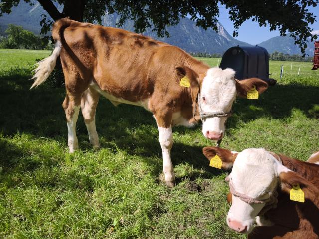 Equipement et services maison de vacances