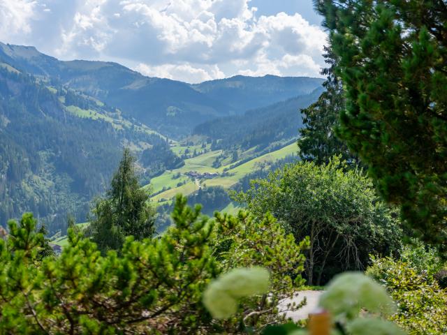 Aussicht vom Ferienhaus