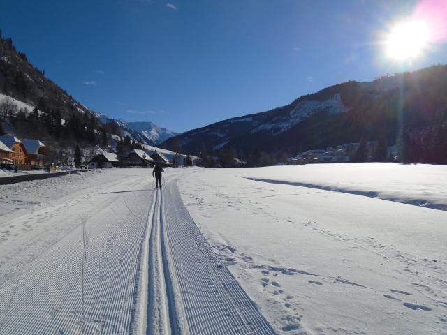 Directe omgeving [winter] (<1 km)