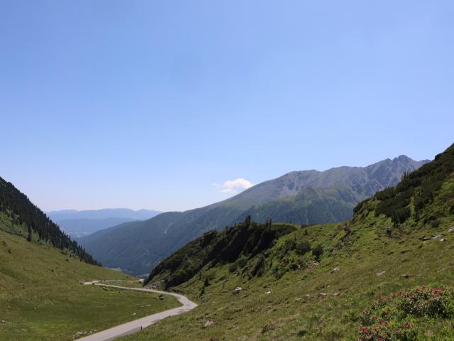 Omgeving [zomer] (1-5 km)