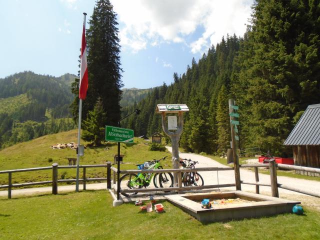 Omgeving [zomer] (1-5 km)