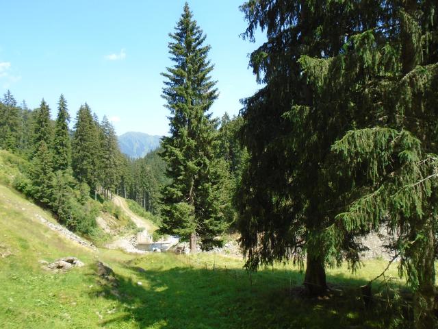 Omgeving [zomer] (1-5 km)