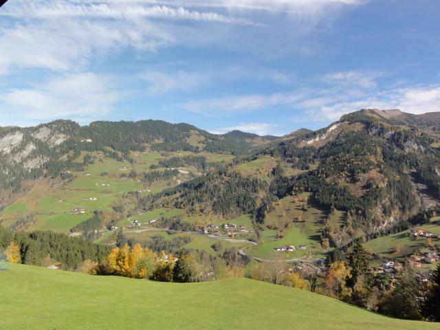 Aussicht vom Ferienhaus [Sommer]