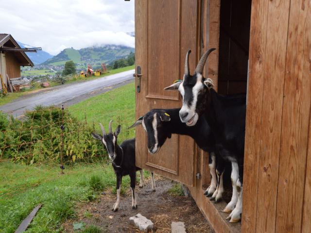 Uitzicht van vakantiehuis