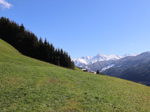 Aussicht vom Ferienhaus