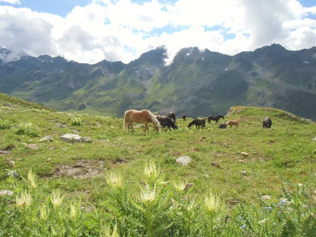 Holiday Home Facilities and Services