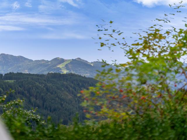 View from Holiday Home