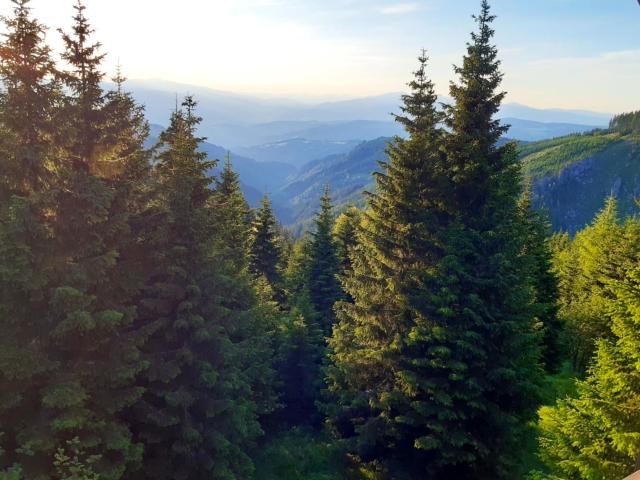 View from Holiday Home [summer]